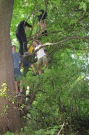 Sndan na strom :)